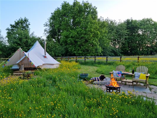 Bell tent surrounded by greenery with fire pit patio